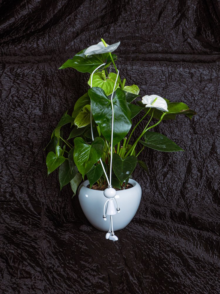 Photograph by Алёна Храмова