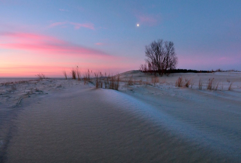 Photograph by Владимир Петрукович