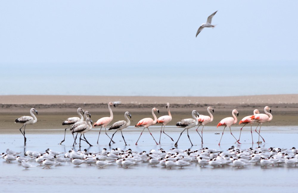 Photograph by Lucia Ana Juárez