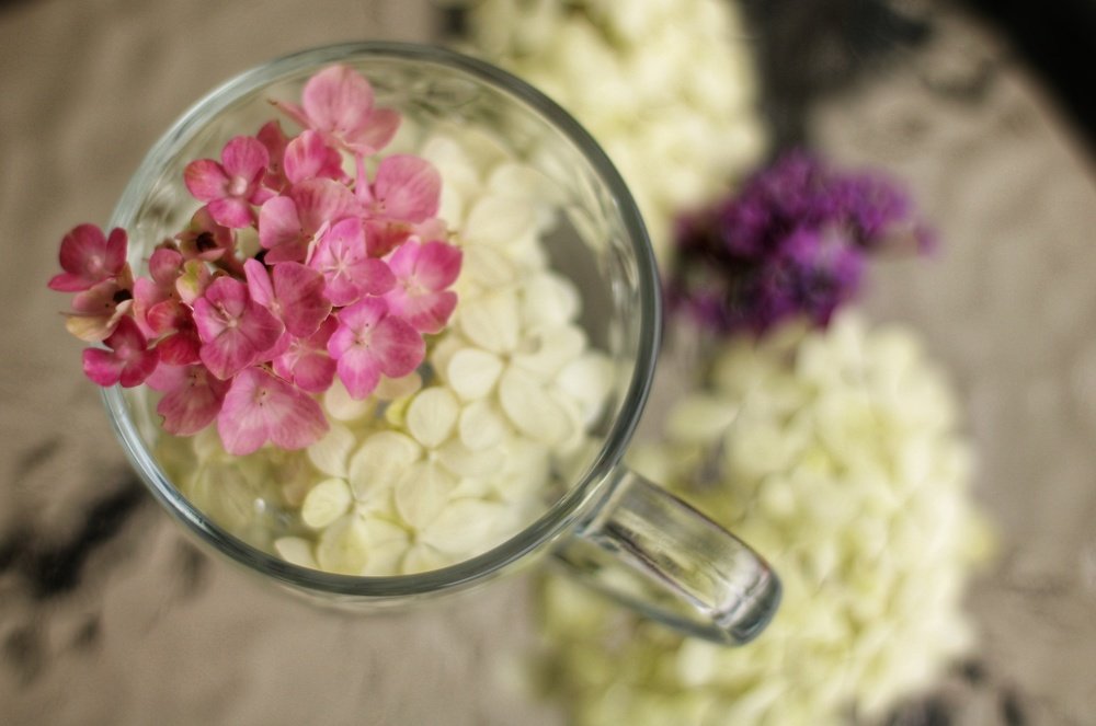 Photograph by Svitlana Valtser