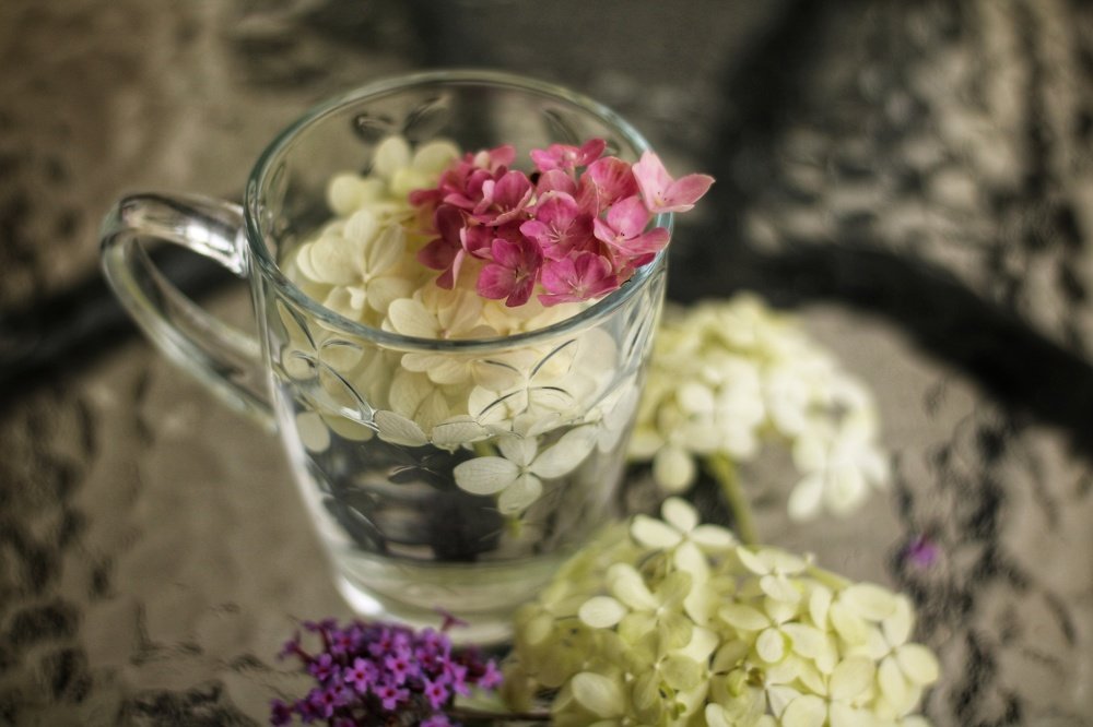 Photograph by Svitlana Valtser