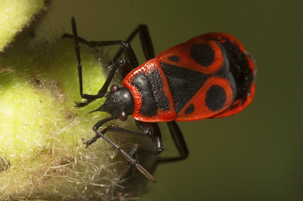 Фотография автора Марина Кулакова