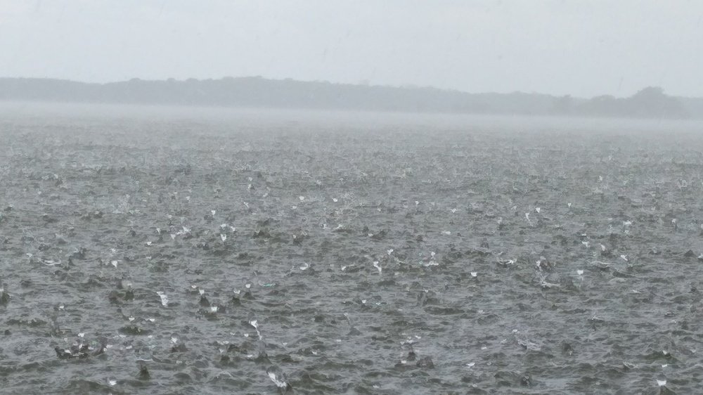 Photo #4909384