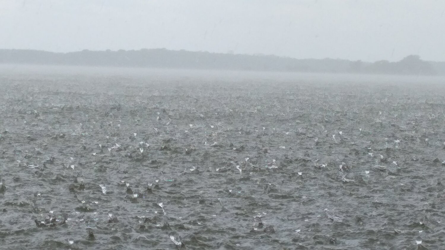 Photo #4909384