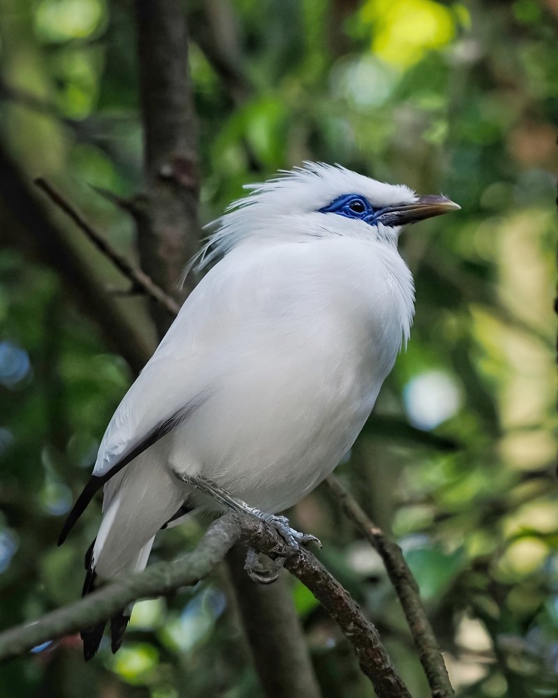 Photograph by Endra Agust