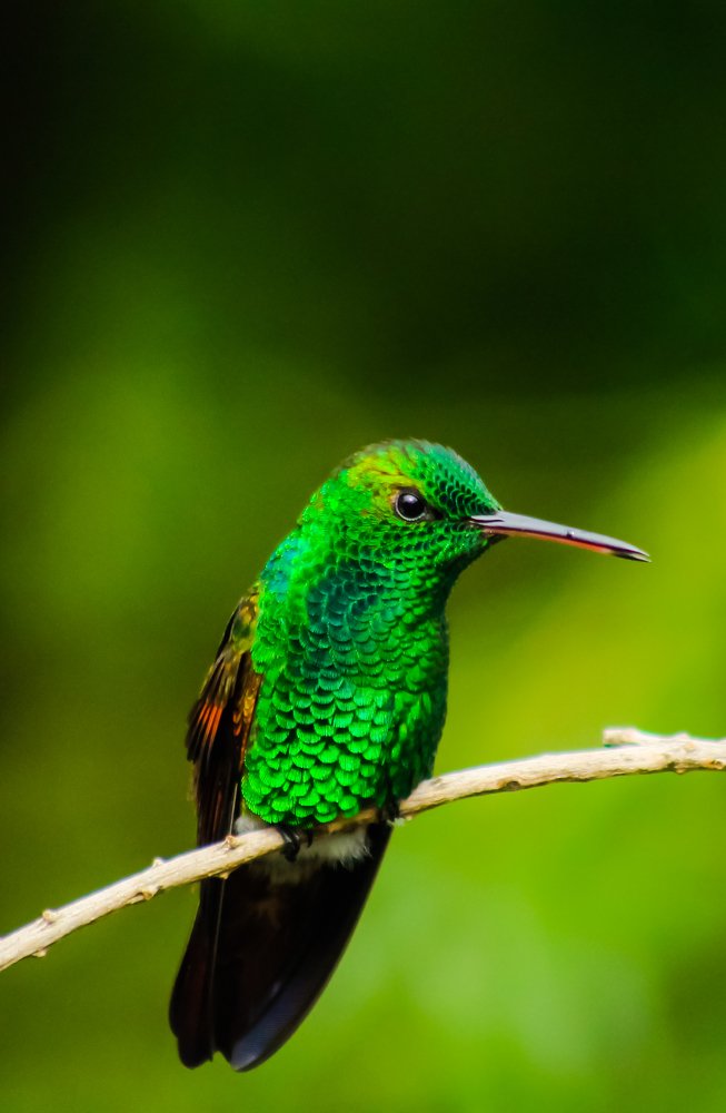 Photograph by Jesus Santamaría