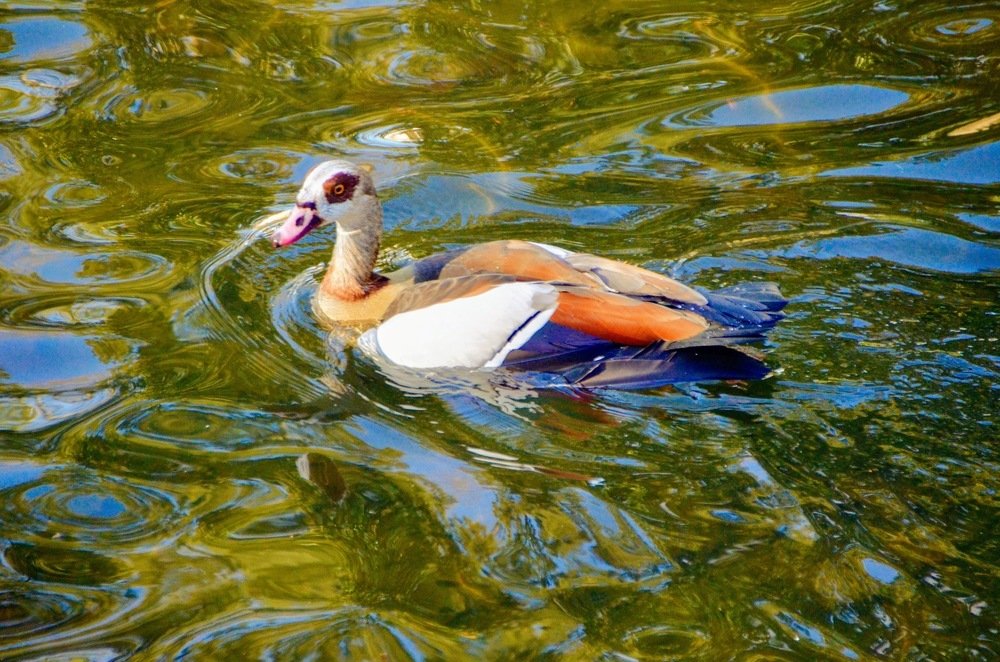 Photograph by Maria Teresa Teixeira de Sousa