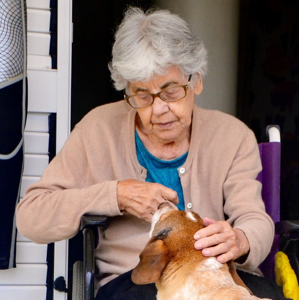 Photograph by Maria Teresa Teixeira de Sousa