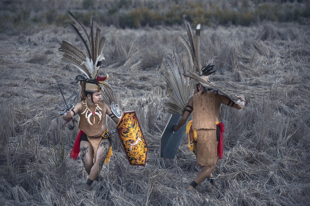 Фотография автора Anil Prabhakar