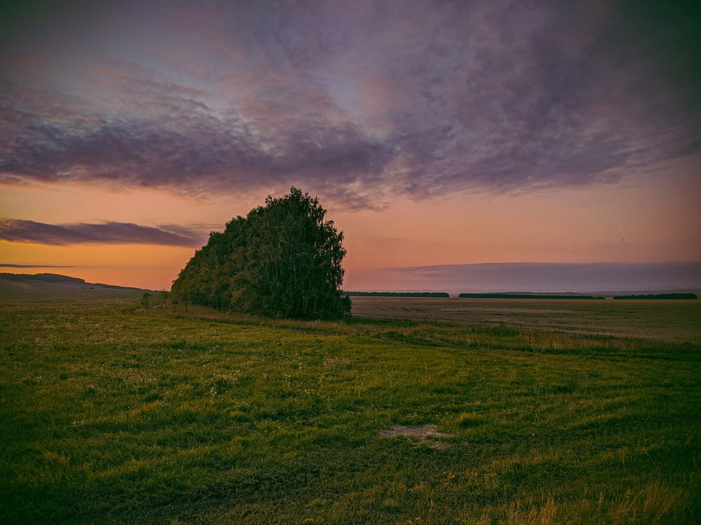 Photograph by Максим Лукманов