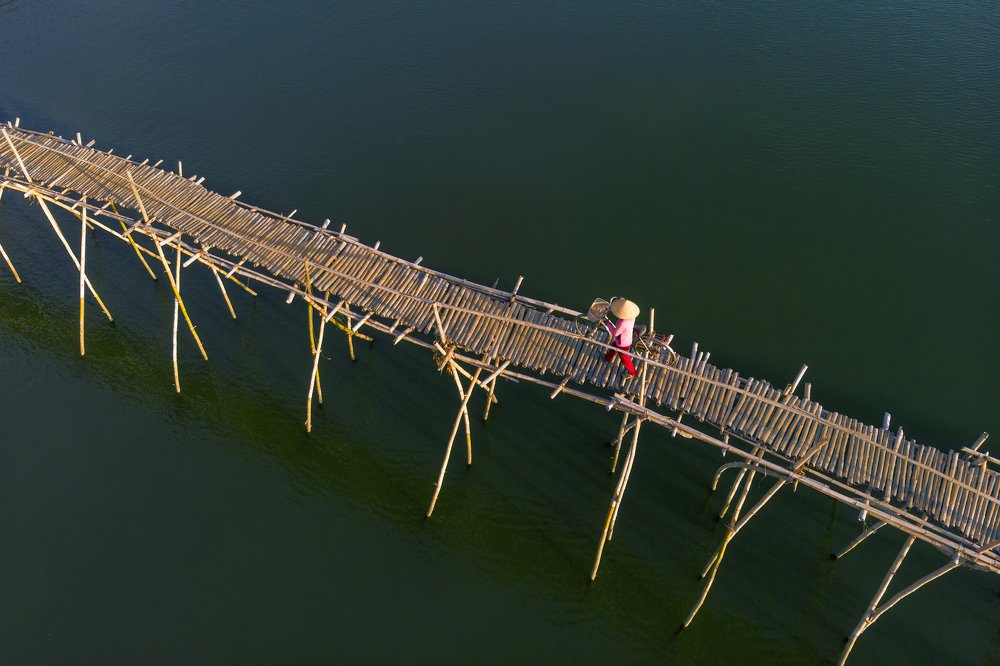 Photograph by Lộc Phạm