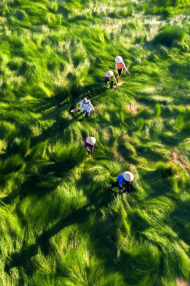 Photograph by Lộc Phạm