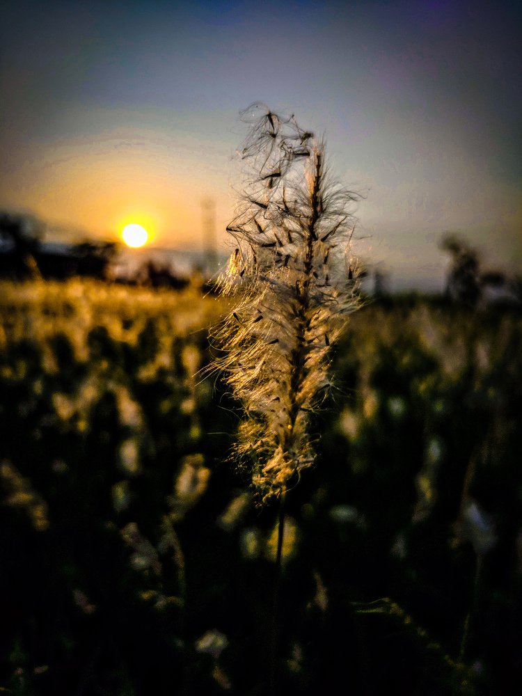 Photograph by Suman Mandal