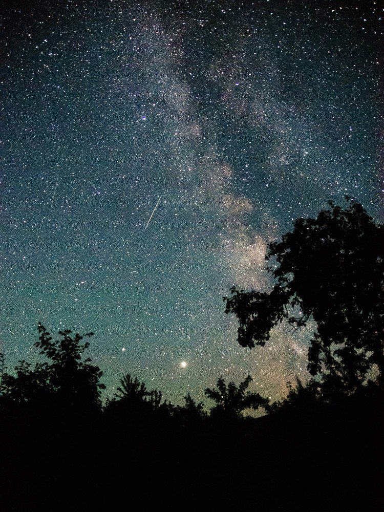 Milky way in my garden
