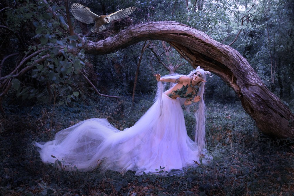 Вирява - хозяйка леса