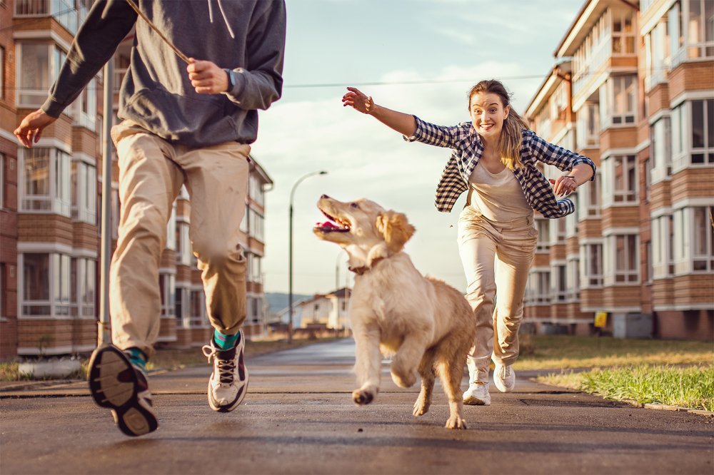 Фотография автора Анна Белка