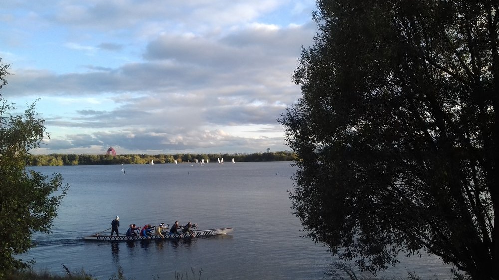 Photo #4910023