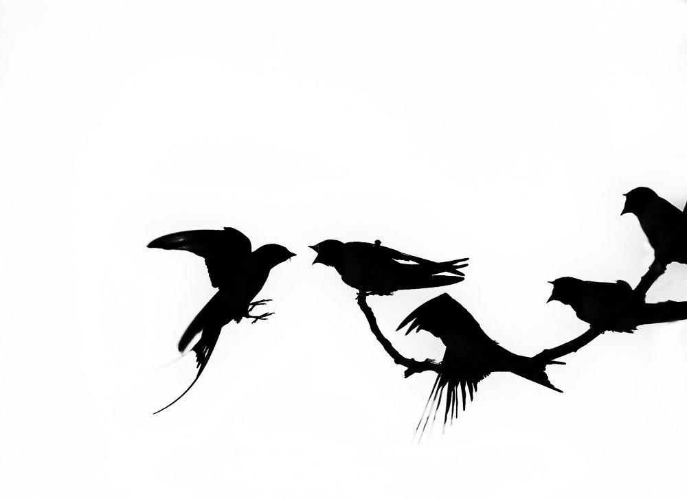 Photograph by ismeki Ekici