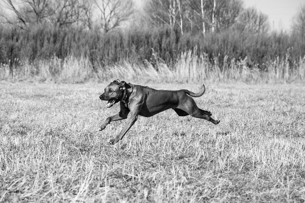 Photograph by Светлана Бевза