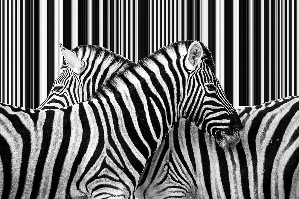 Photograph by Arijit Biswas