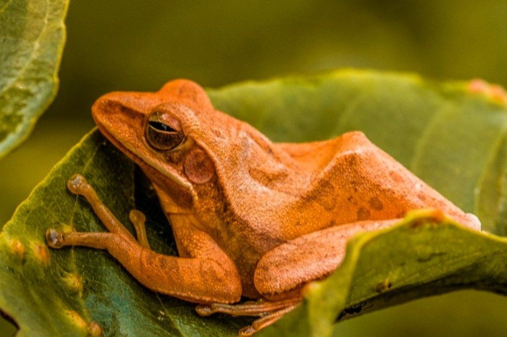 Photograph by Anupam More