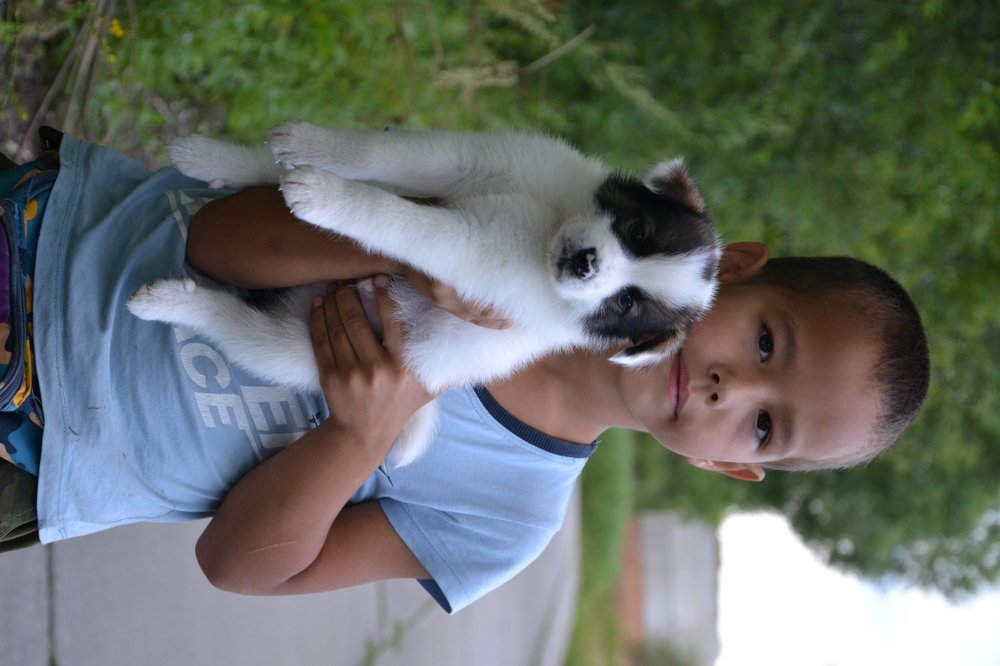 Photograph by Андрей Звездов