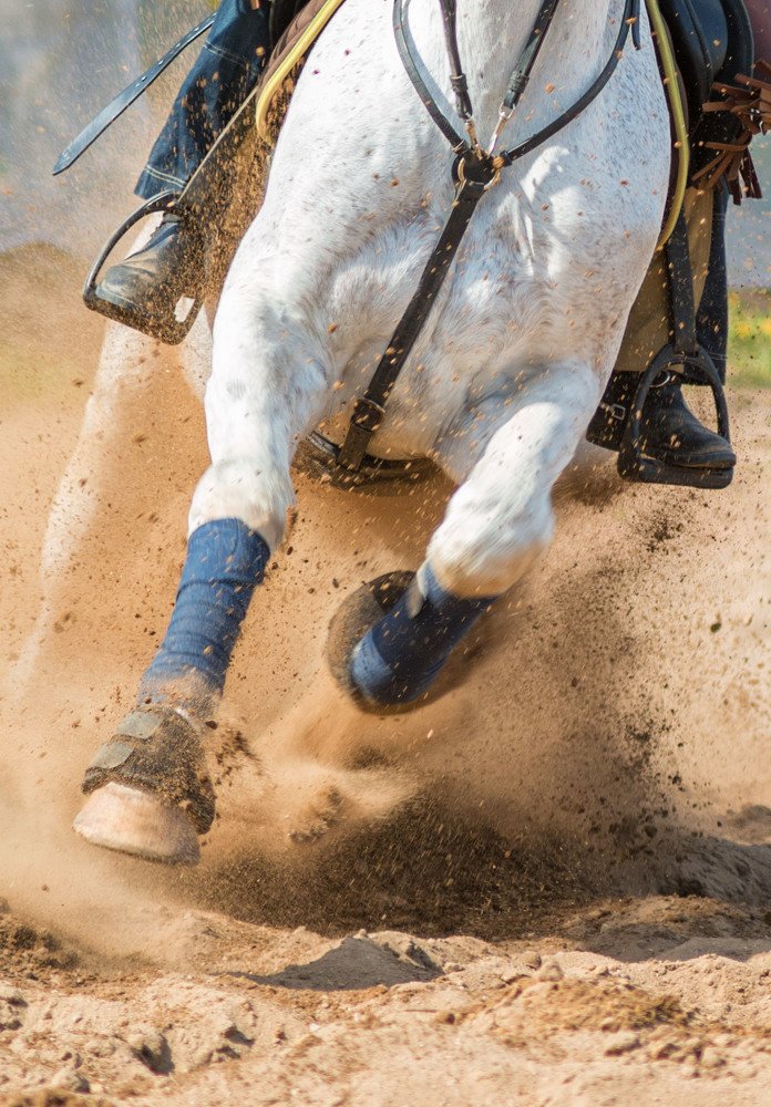 Photograph by Ольга Максимова