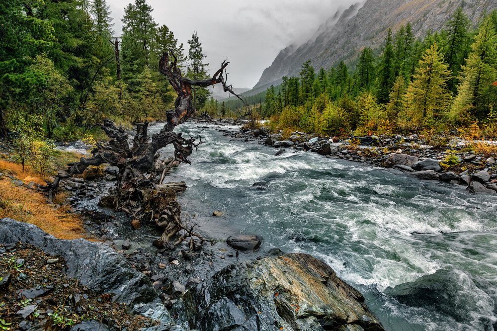 Мажой после дождя.