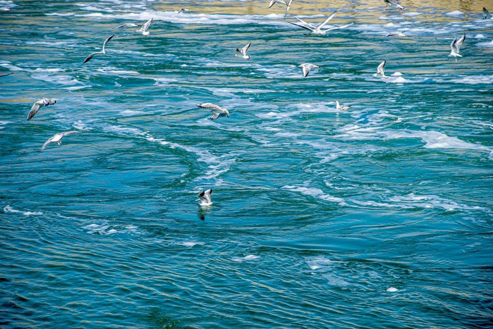 Photograph by Анатолий Чикчирный