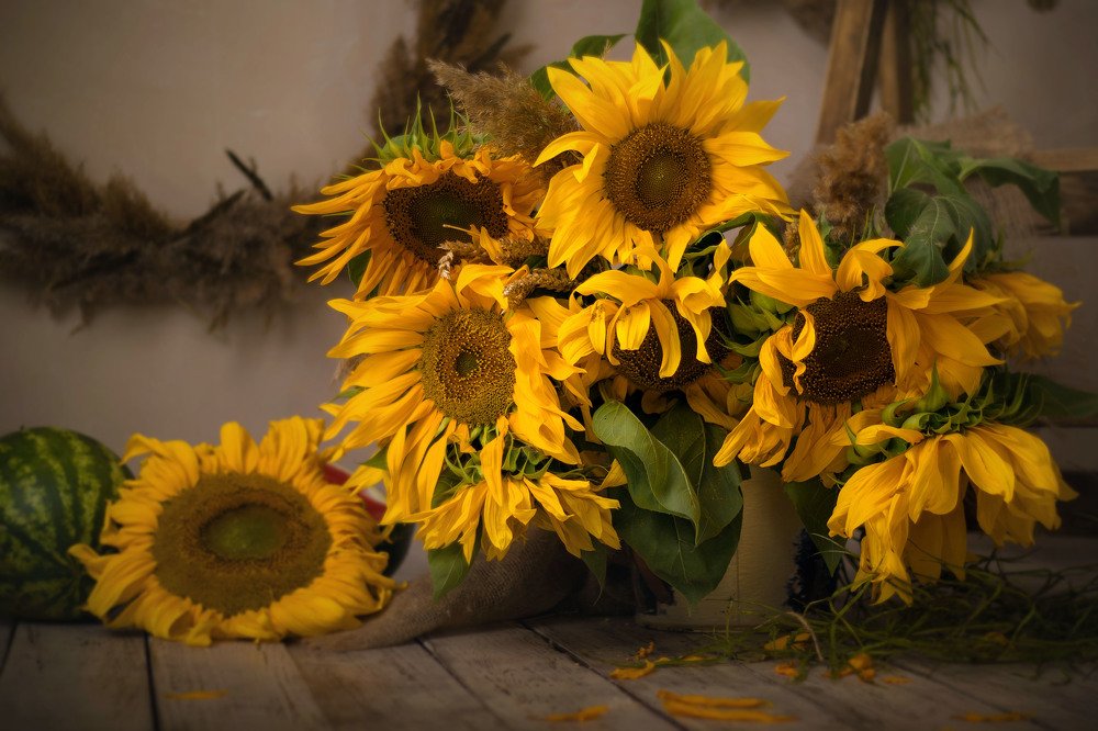 Фотография автора Olga Fedorova