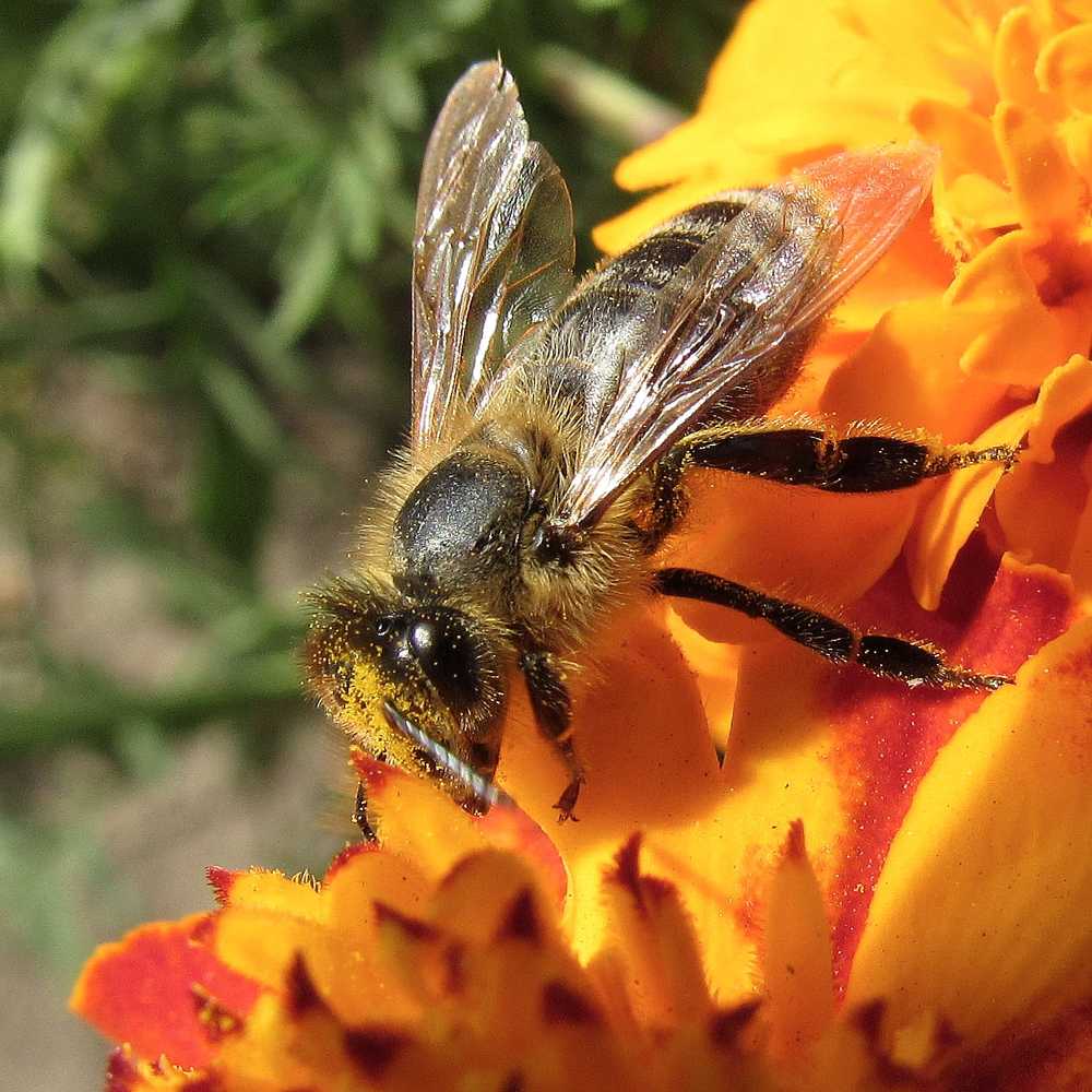 Photograph by Марина Савченко