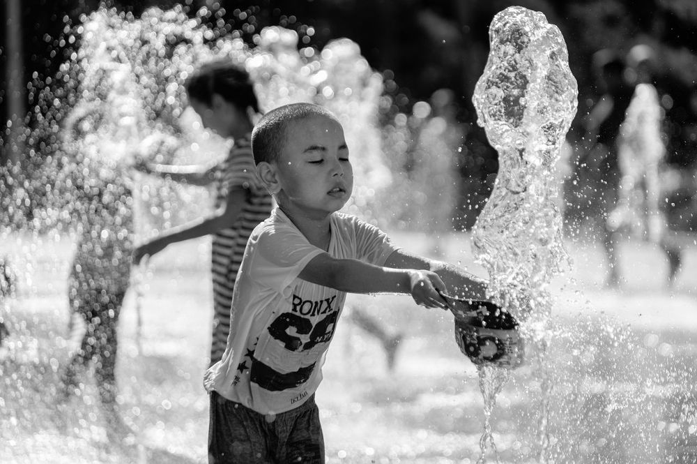 Фотография автора Mansoor Heydaryan