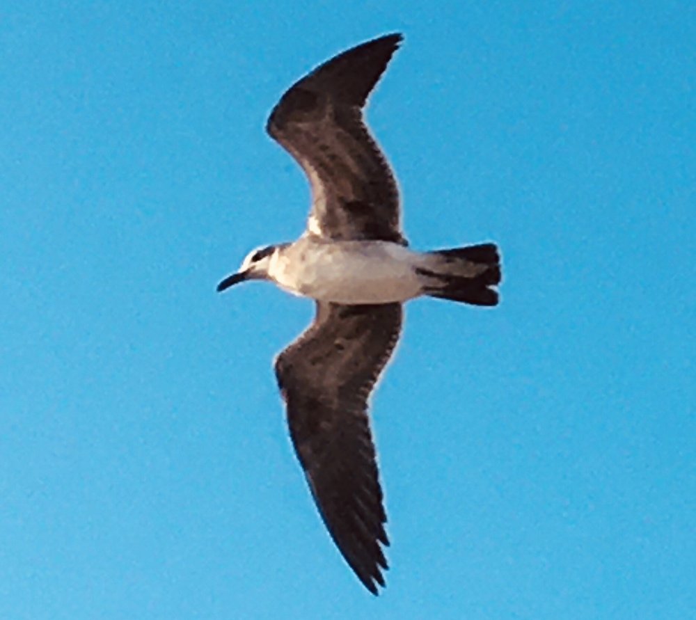 Photograph by Bárbara Iglesias