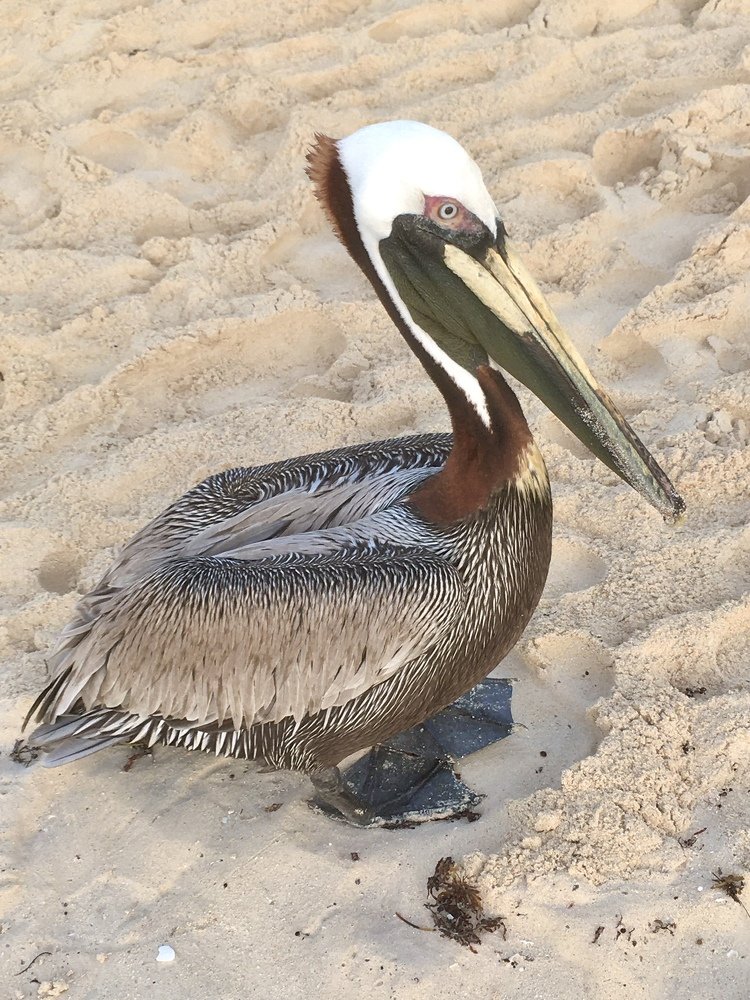 Photograph by Bárbara Iglesias