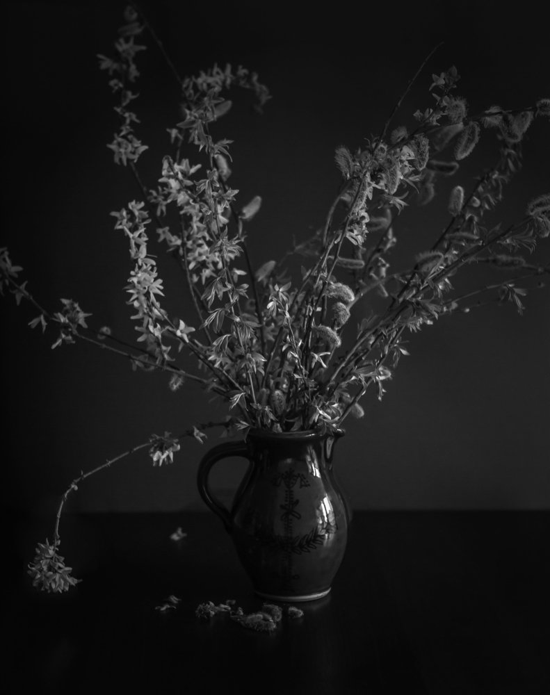 Photograph by Monika Kossak