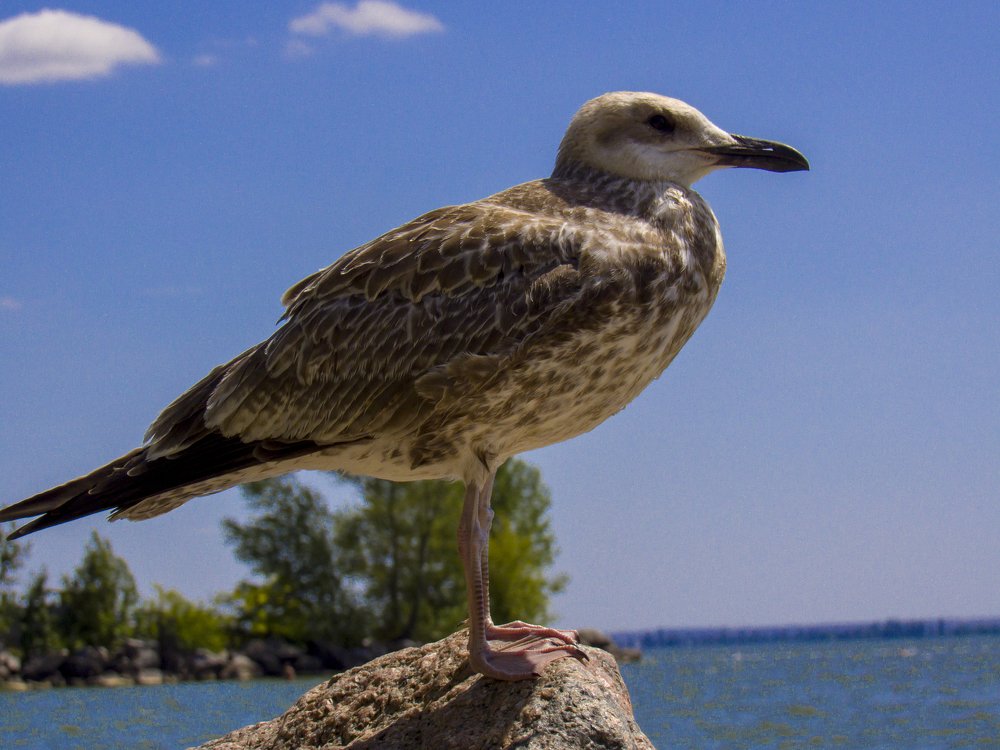 Photograph by Иван Доможирский