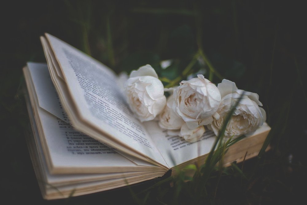 Photograph by Вера Силкина