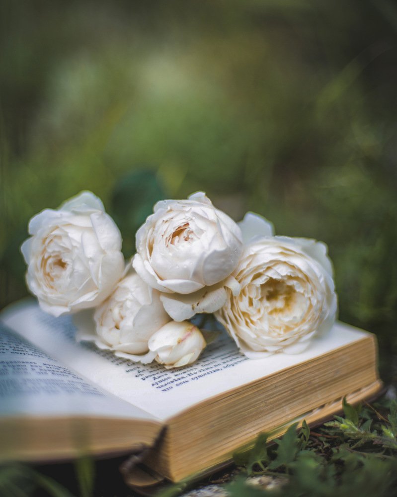 Photograph by Вера Силкина