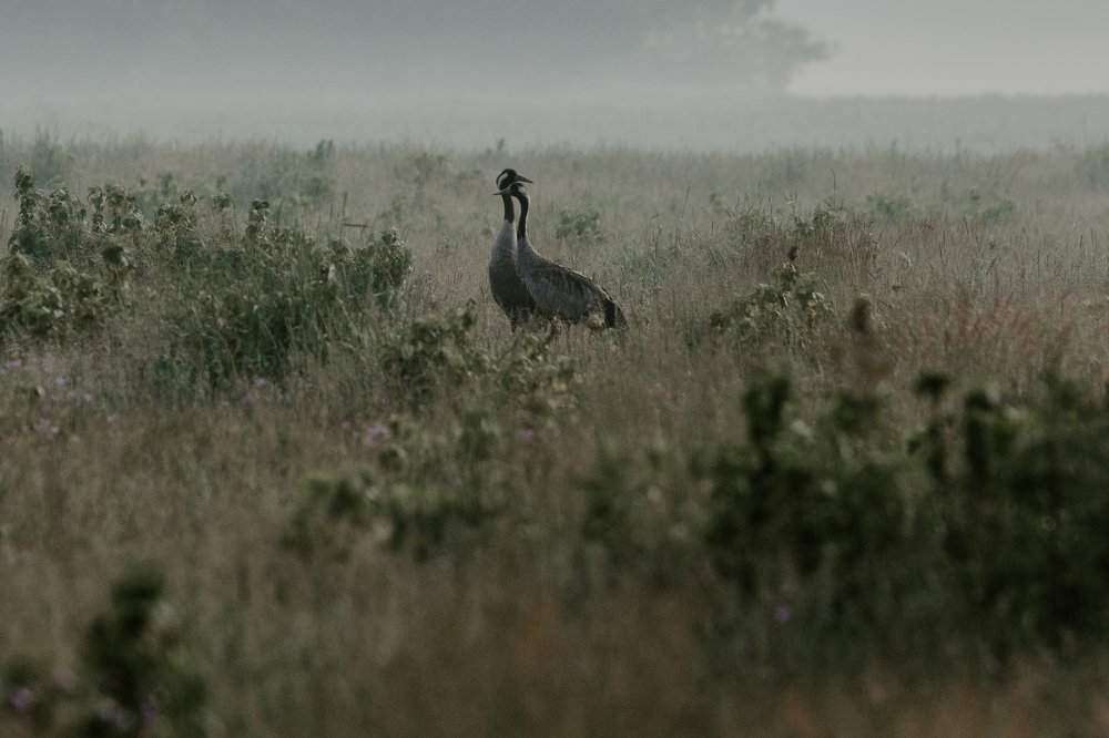 Photograph by Chev Photography