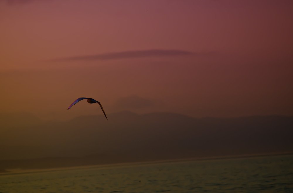 Photograph by Константин Пинигин