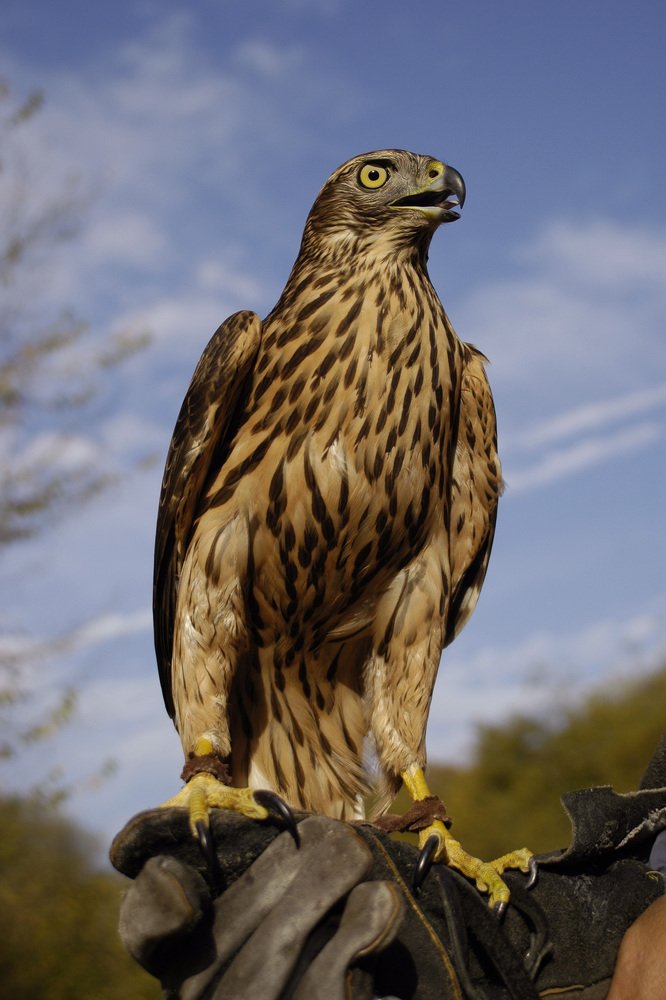 Photograph by Оксана Носкова