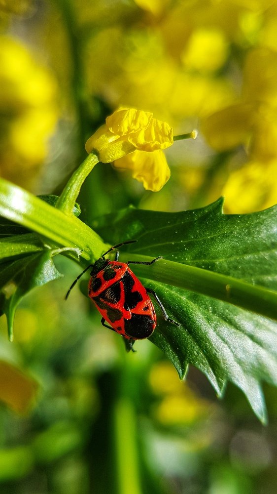 Фотография автора Анастасия Руднева