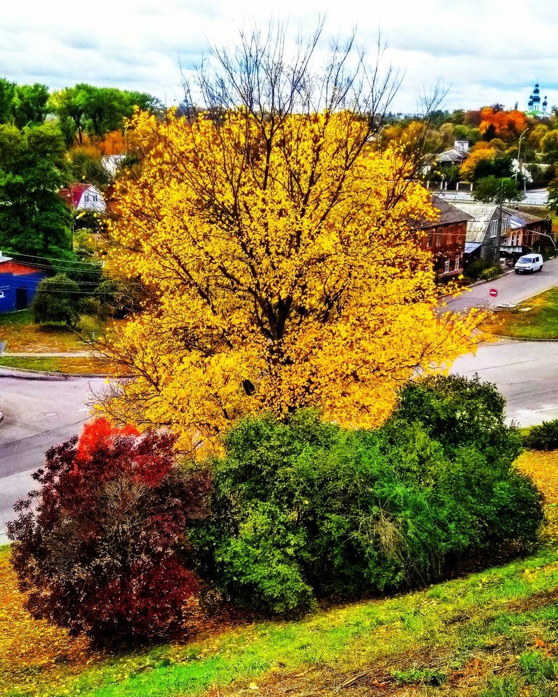 Краски осени