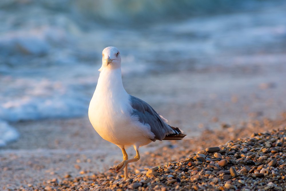 Photograph by Дзись Оксана
