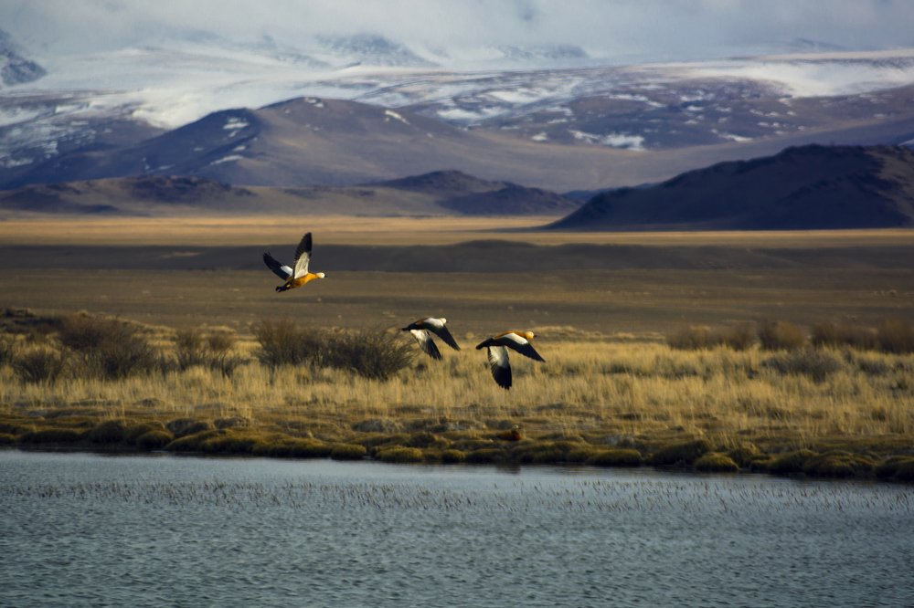 Photograph by Кристина Сотникова