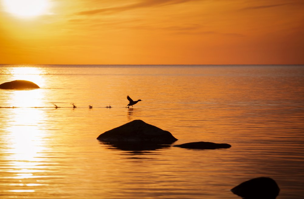 Photograph by Кристина Сотникова