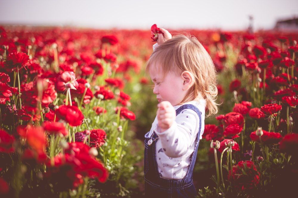 Photograph by Naomi Pikus