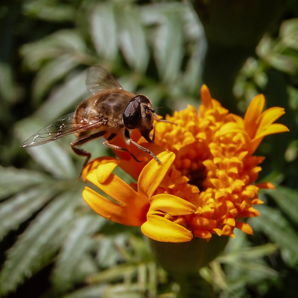 Photograph by Диана Кошелева