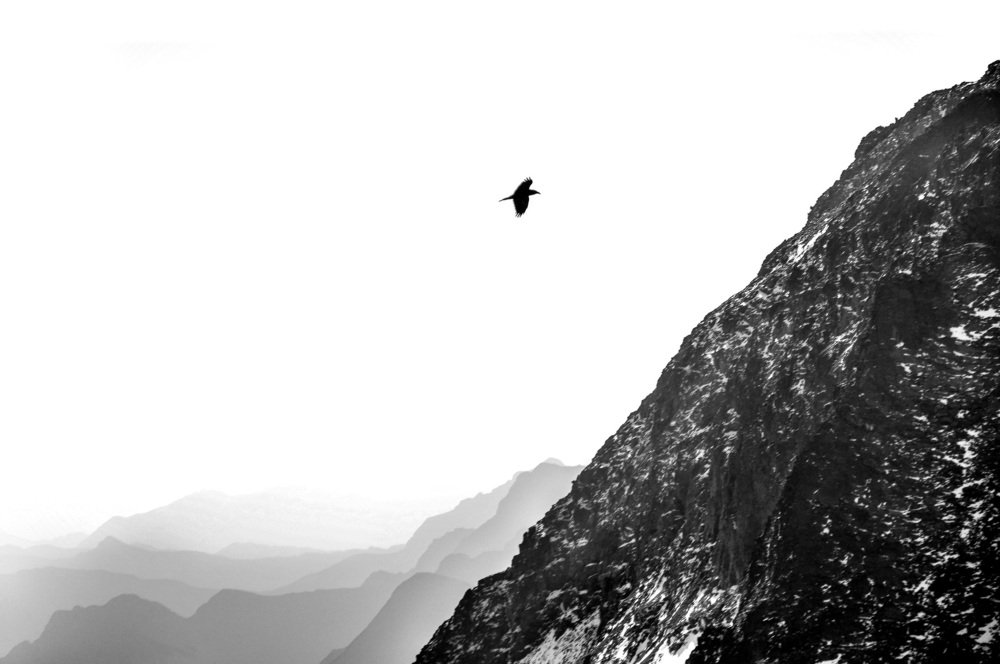 Photograph by Никита