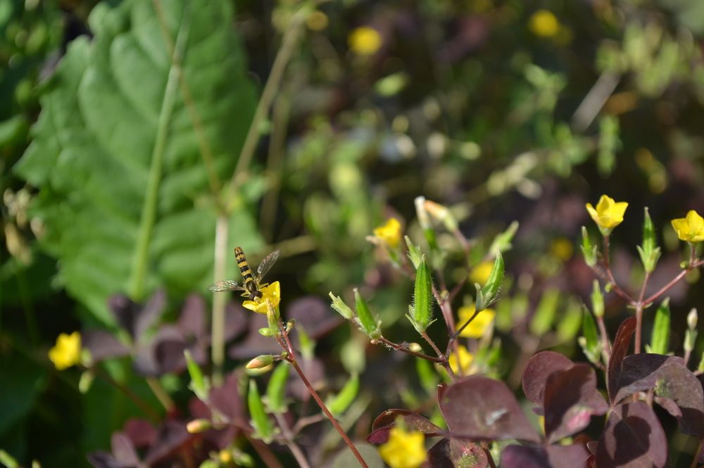 Photograph by Камила Борисоглебская